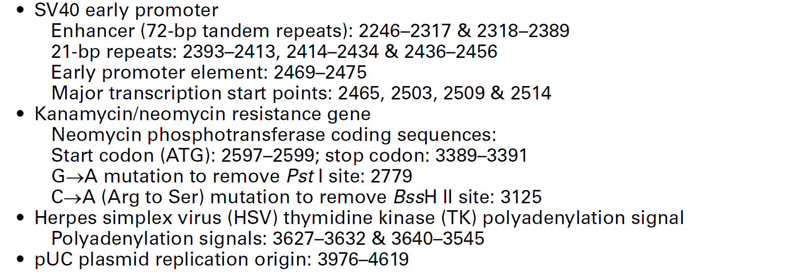 pAmCyan1-C1 载体特征2